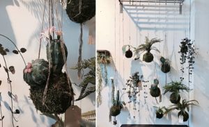 Pure Inspiration - Loods 5 pflanzen interior Blumen Dekor Möbel holland